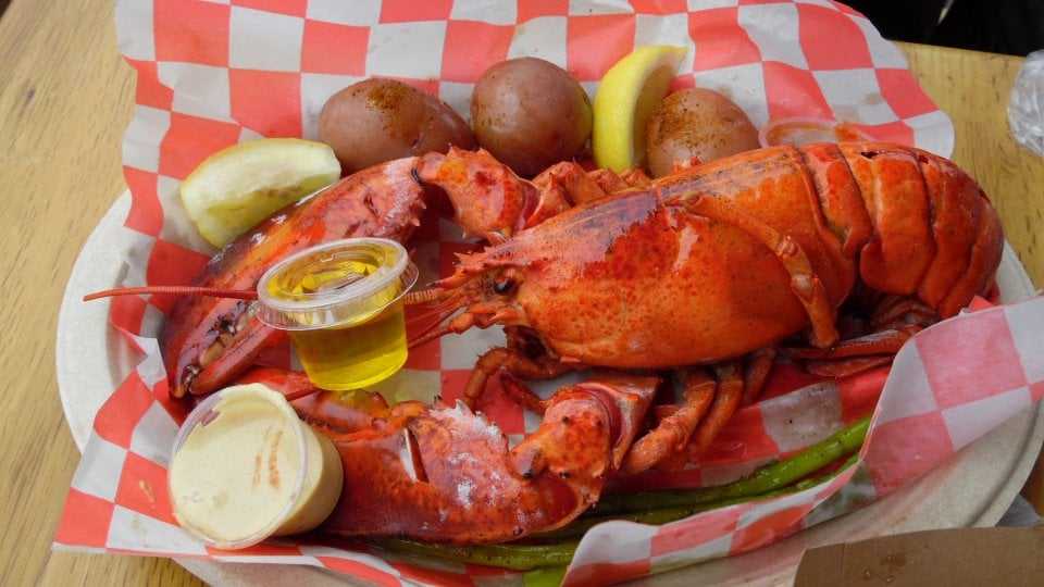 North River Lobster Co