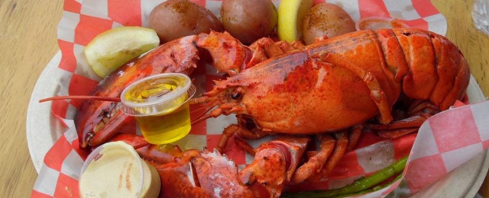 North River Lobster Co